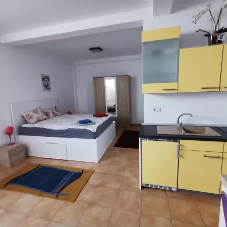 Fitness House With Garden Konstanca