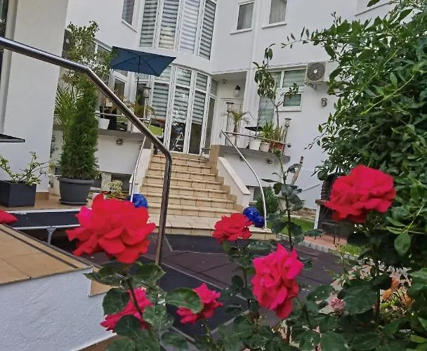 Fitness House With Garden Pensiune Constanţa