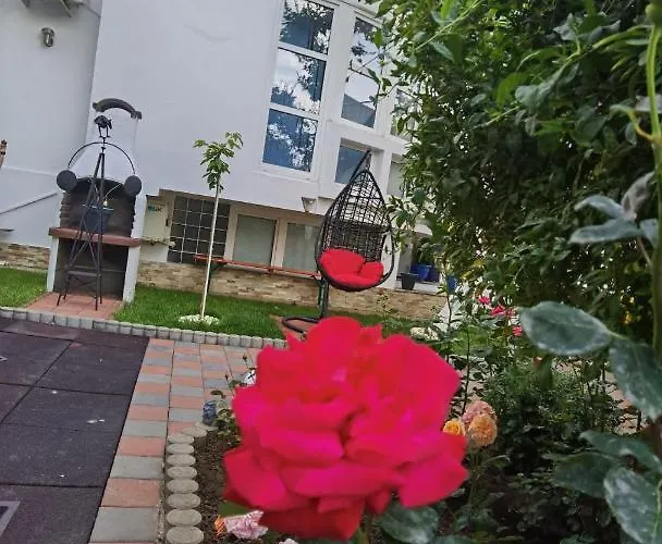 Pensjonat Fitness House With Garden 4*