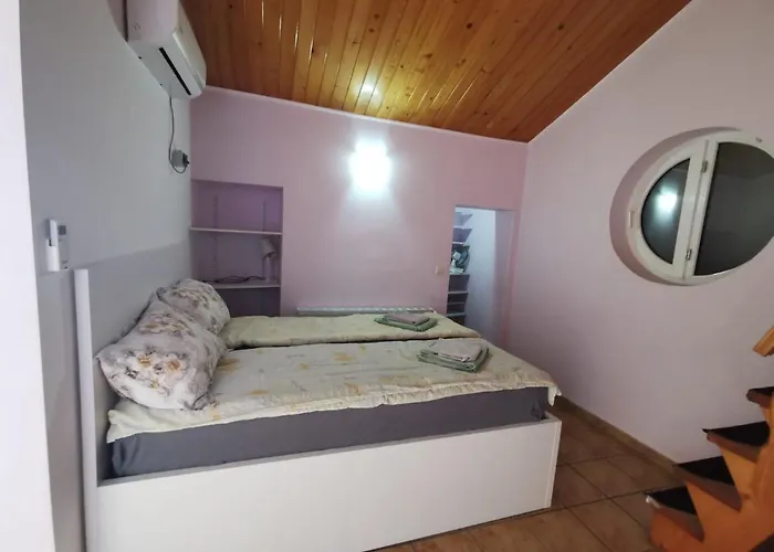 Fitness House With Garden Pensiune Constanţa