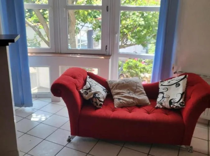 Pensiune Fitness House With Garden Constanţa