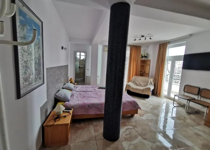 Pensiune Fitness House With Garden 4*