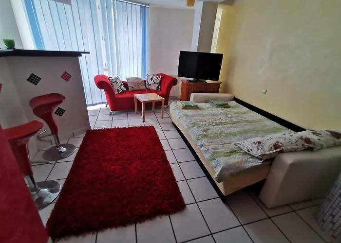 Fitness House With Garden Pensiune Constanţa