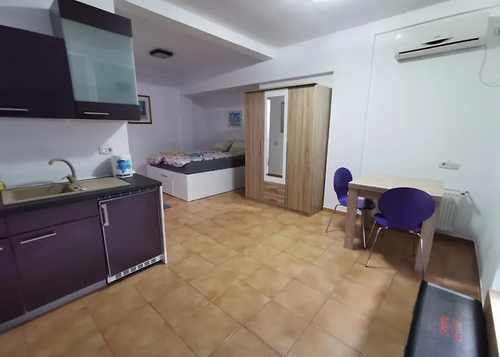 Pensiune Fitness House With Garden Constanţa