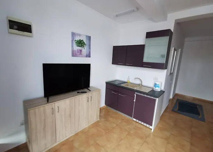 Fitness House With Garden 4*