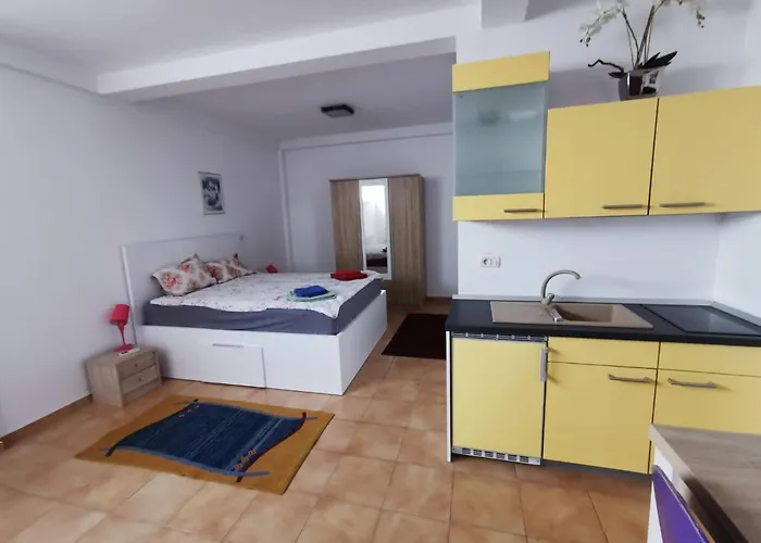 Fitness House With Garden コンスタンツァ