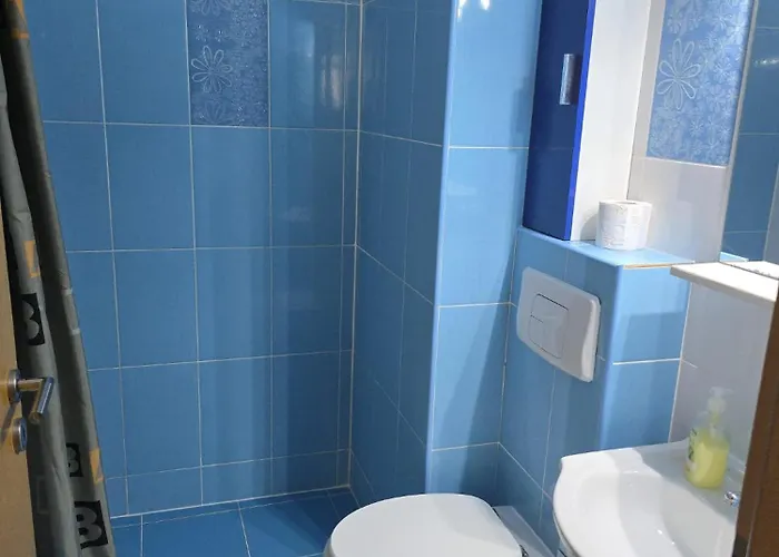 Fitness House With Garden Pensiune